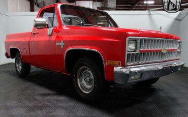 Chevrolet-C-10-Pickup-1981-Red-Red-31665-9