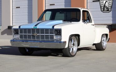 Chevrolet-C-10-Pickup-1983-White-Black-2943-3