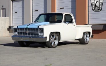 Chevrolet-C-10-Pickup-1983-White-Black-2943-4