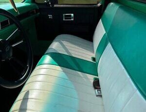 Chevrolet-C-10-Pickup-1984-Green-Green-32187-2