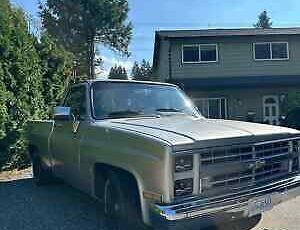 Chevrolet-C-10-Pickup-1984-Silver-Gray-289682-1