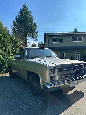 Chevrolet-C-10-Pickup-1984-Silver-Gray-289682-1