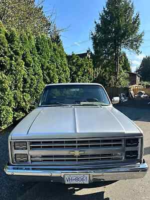 Chevrolet-C-10-Pickup-1984-Silver-Gray-289682-2