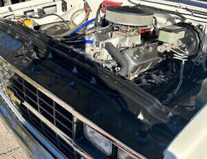 Chevrolet-C-10-Pickup-1986-White-Black-9672-1