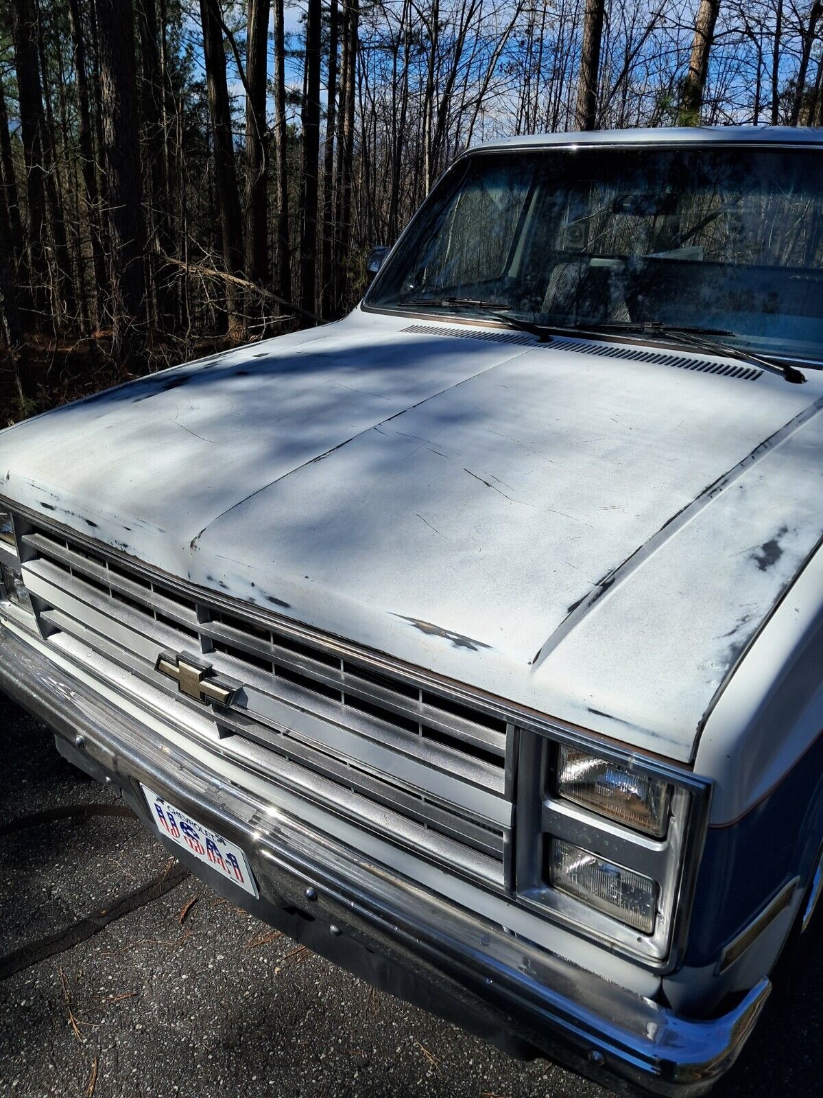 Chevrolet-C-10-Pickup-1986-White-Blue-Blue-74637-12