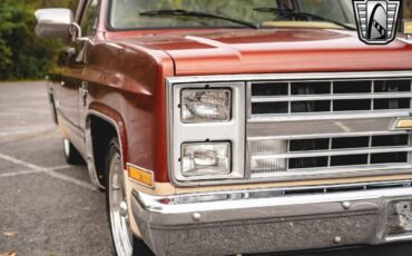 Chevrolet-C-10-Pickup-1987-Bronze-Beige-Tan-119423-11