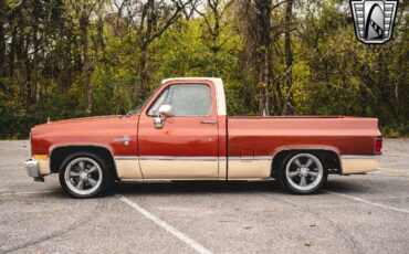 Chevrolet-C-10-Pickup-1987-Bronze-Beige-Tan-119423-3