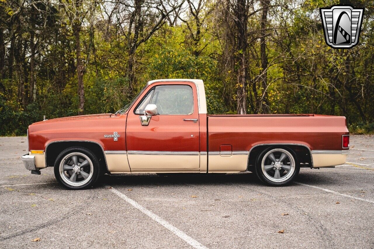 Chevrolet-C-10-Pickup-1987-Bronze-Beige-Tan-119423-3