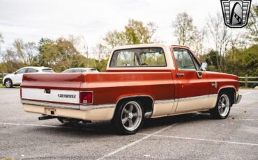 Chevrolet-C-10-Pickup-1987-Bronze-Beige-Tan-119423-6