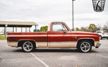 Chevrolet-C-10-Pickup-1987-Bronze-Beige-Tan-119423-7