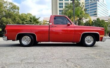 Chevrolet-C-10-Pickup-1987-Red-Gray-154022-8