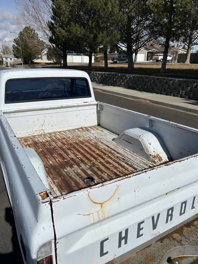 Chevrolet-C10-1969-40234-5