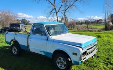 Chevrolet-C10-1970-267150-5