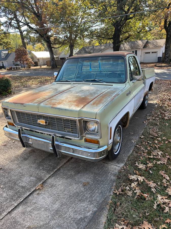 Chevrolet-C10-1973-71722