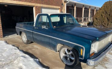 Chevrolet-C10-1973-green-19867-2