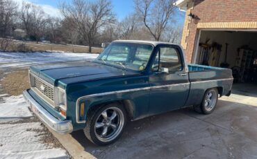 Chevrolet-C10-1973-green-19867