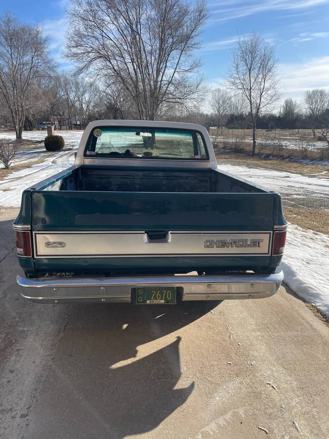 Chevrolet-C10-1973-green-19867-5