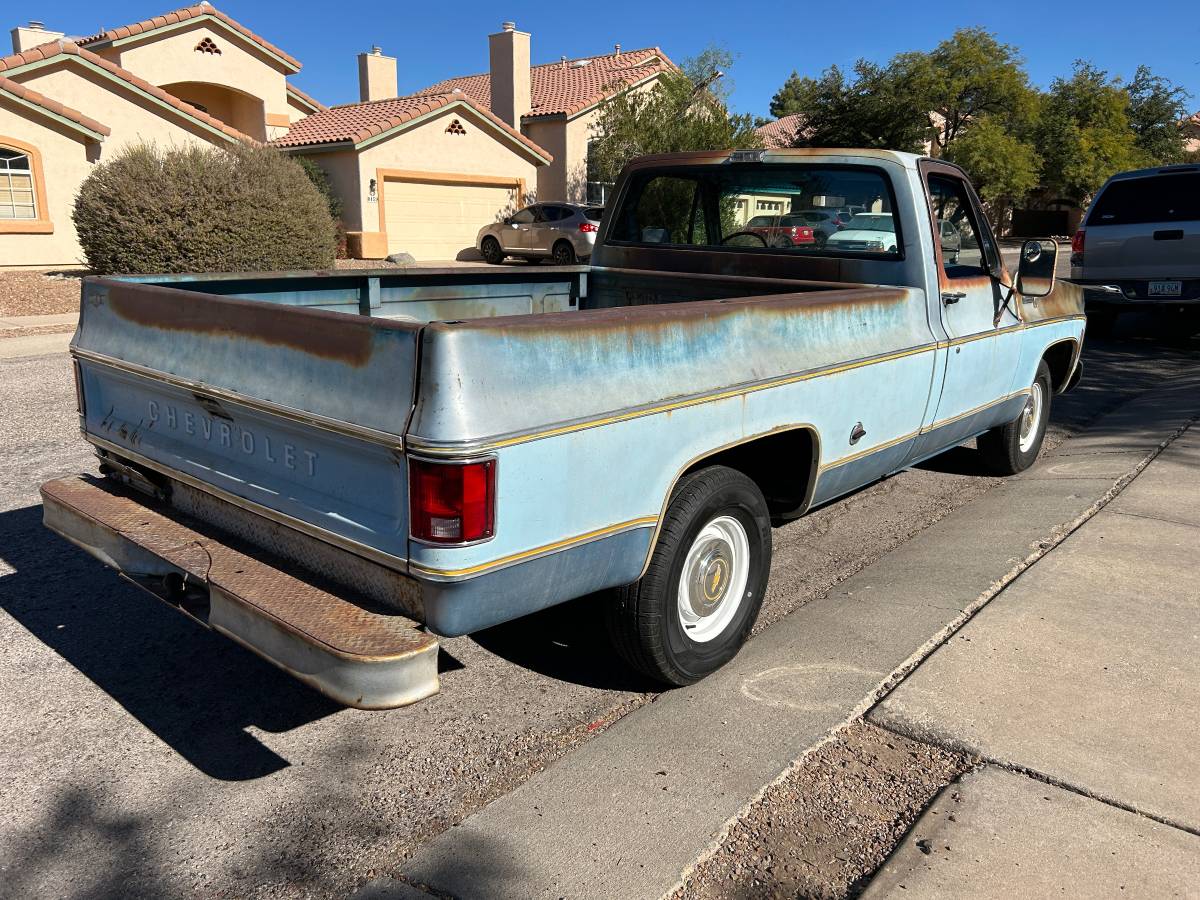 Chevrolet-C10-1977-35405-1