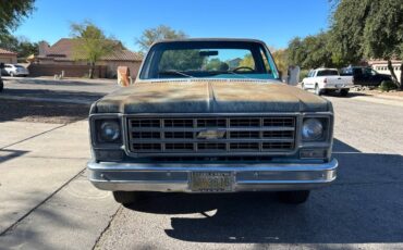 Chevrolet-C10-1977-35405-2