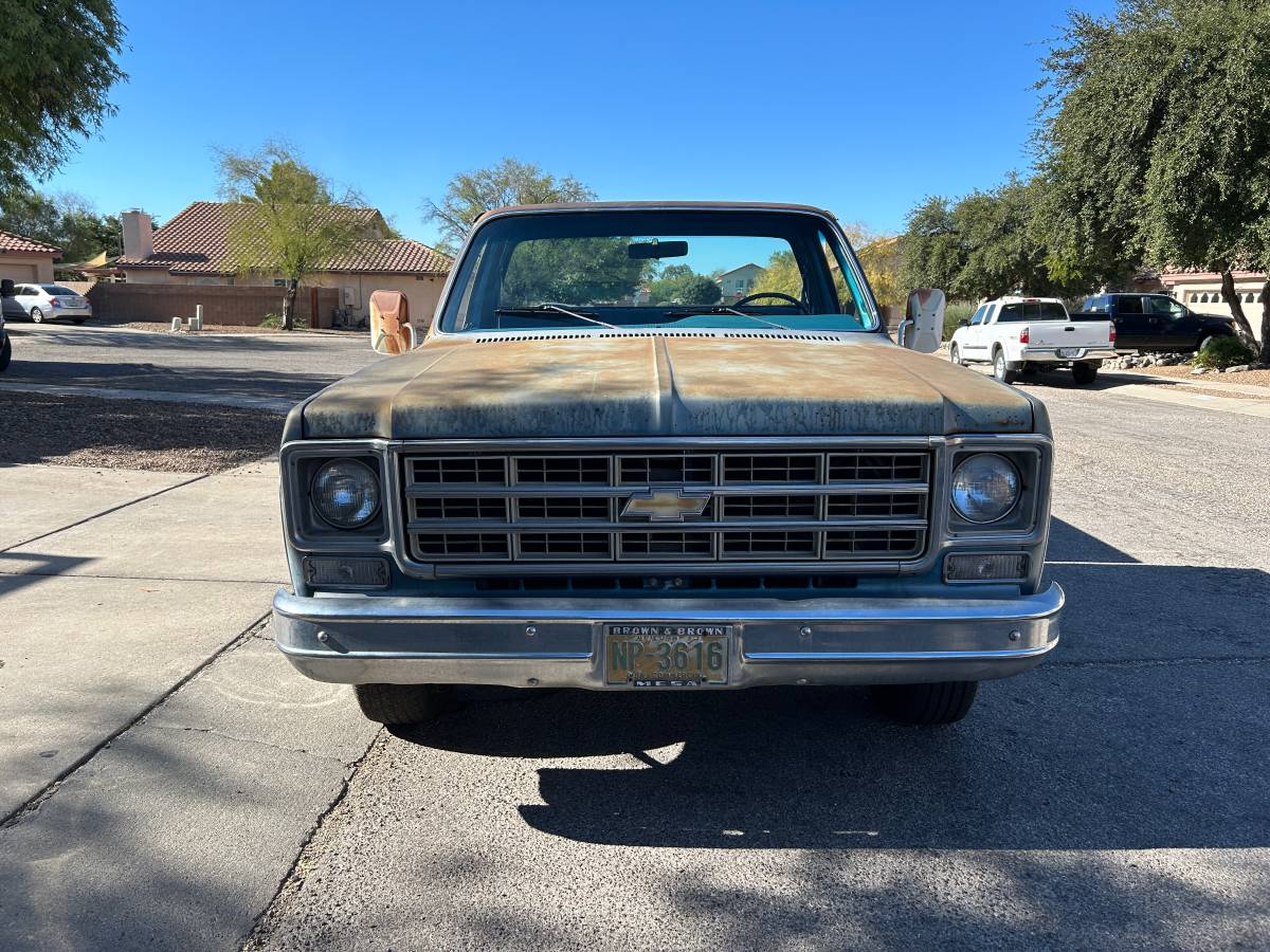 Chevrolet-C10-1977-35405-2