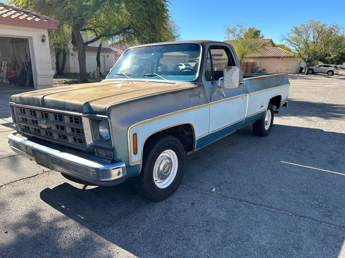 Chevrolet-C10-1977-35405