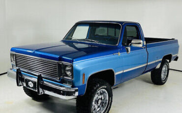 Chevrolet-C10-1980-Blue-Gray-2437-1