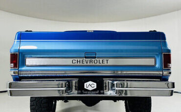 Chevrolet-C10-1980-Blue-Gray-2437-4