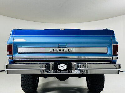 Chevrolet-C10-1980-Blue-Gray-2437-4