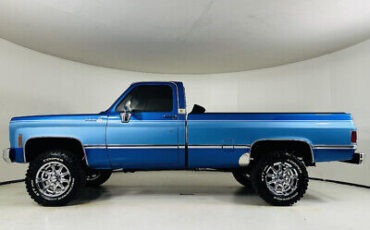 Chevrolet-C10-1980-Blue-Gray-2437-7