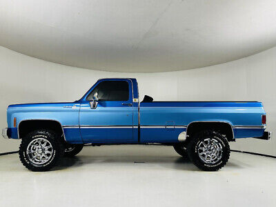 Chevrolet-C10-1980-Blue-Gray-2437-7