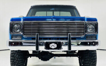 Chevrolet-C10-1980-Blue-Gray-2437-9