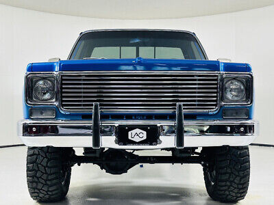 Chevrolet-C10-1980-Blue-Gray-2437-9