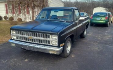 Chevrolet-C10-1982-215652