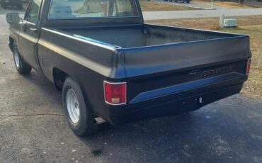 Chevrolet-C10-1982-215652-5