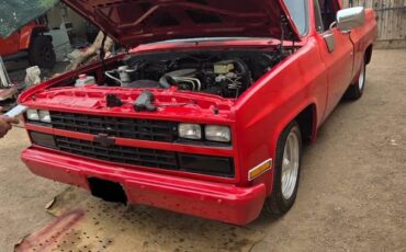 Chevrolet-C10-1985-red-52942-1