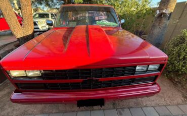 Chevrolet-C10-1985-red-52942-2