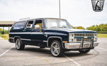 Chevrolet-C10-Suburban-Cabriolet-1985-Blue-Blue-23538-8