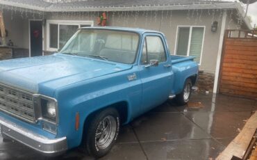 Chevrolet-C10-custom-deluxe-1978-blue-54302-2