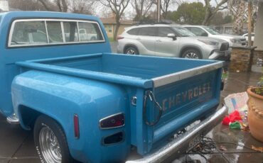 Chevrolet-C10-custom-deluxe-1978-blue-54302-3