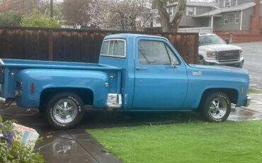 Chevrolet-C10-custom-deluxe-1978-blue-54302