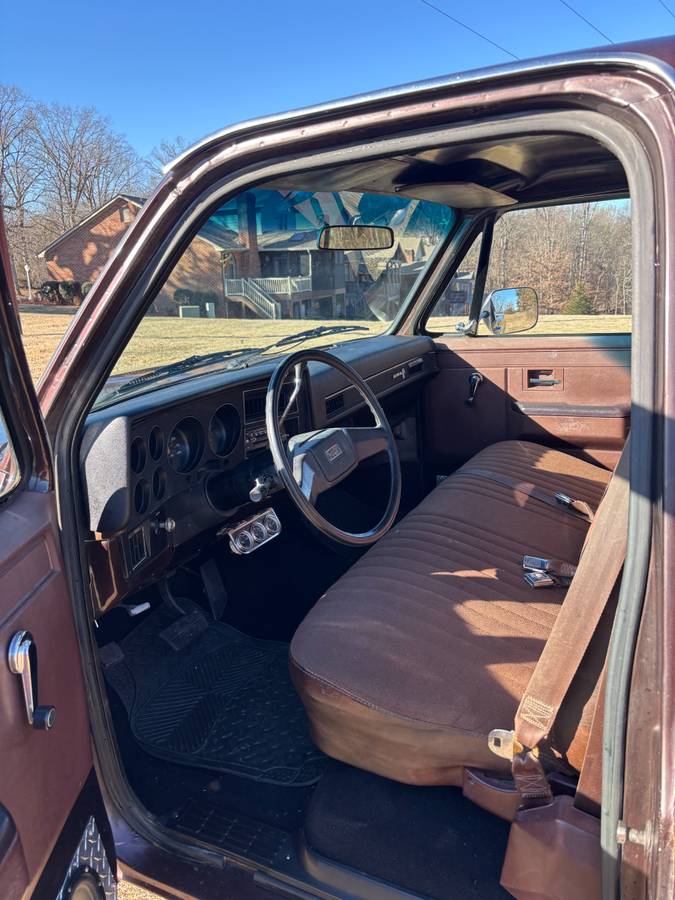 Chevrolet-C10-custom-deluxe-1985-214847-16