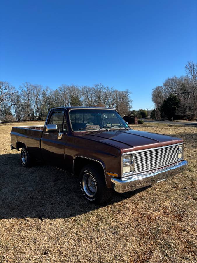 Chevrolet-C10-custom-deluxe-1985-214847-2