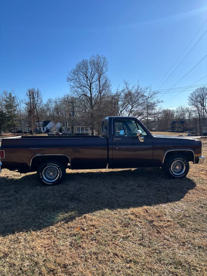 Chevrolet-C10-custom-deluxe-1985-214847-4