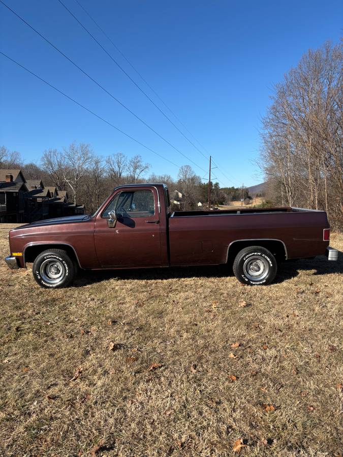 Chevrolet-C10-custom-deluxe-1985-214847-5