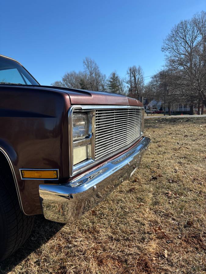 Chevrolet-C10-custom-deluxe-1985-214847-7