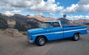 Chevrolet-C10-pickup-1965-blue-37015-11