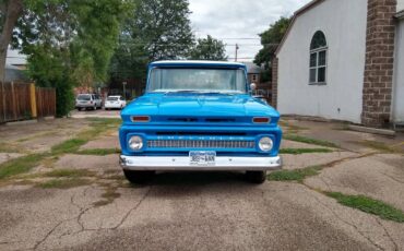 Chevrolet-C10-pickup-1965-blue-37015-2