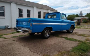 Chevrolet-C10-pickup-1965-blue-37015-5