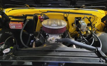 Chevrolet-C10-pickup-1969-yellow-2042-5