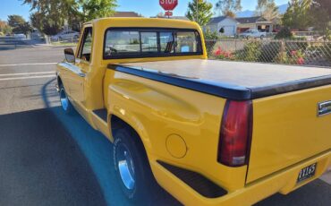 Chevrolet-C10-pickup-1969-yellow-2042-9